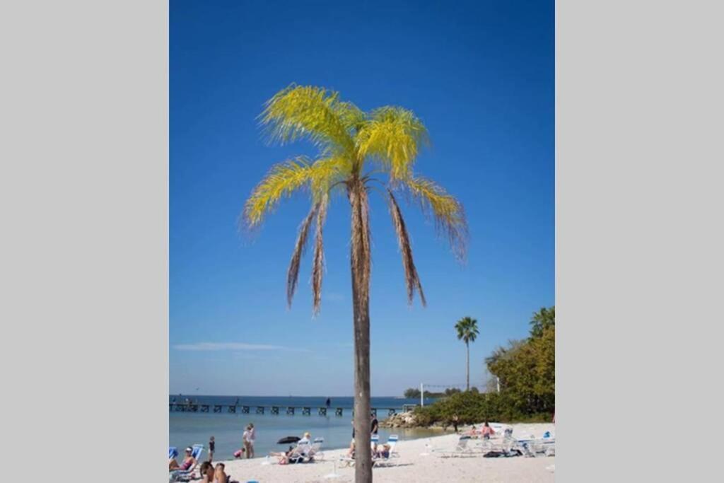 Riverview, Studio 507, Beach Steps Away!+Pool+Wifi Ruskin Exterior foto