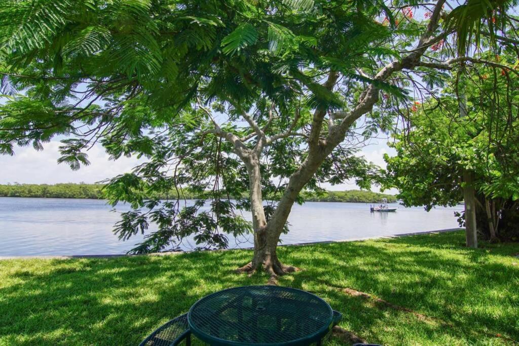 Riverview, Studio 507, Beach Steps Away!+Pool+Wifi Ruskin Exterior foto